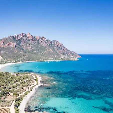 Dei Desideri Tertenìa